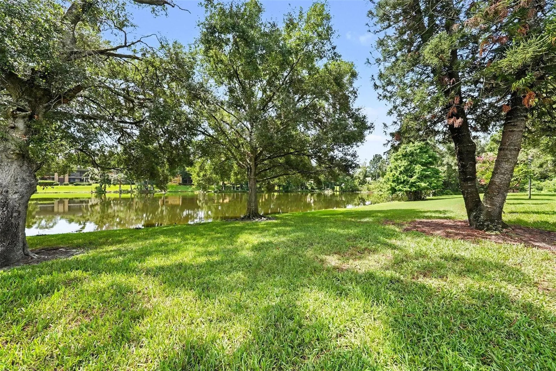 11805 Skylake Place Tampa FL 33617