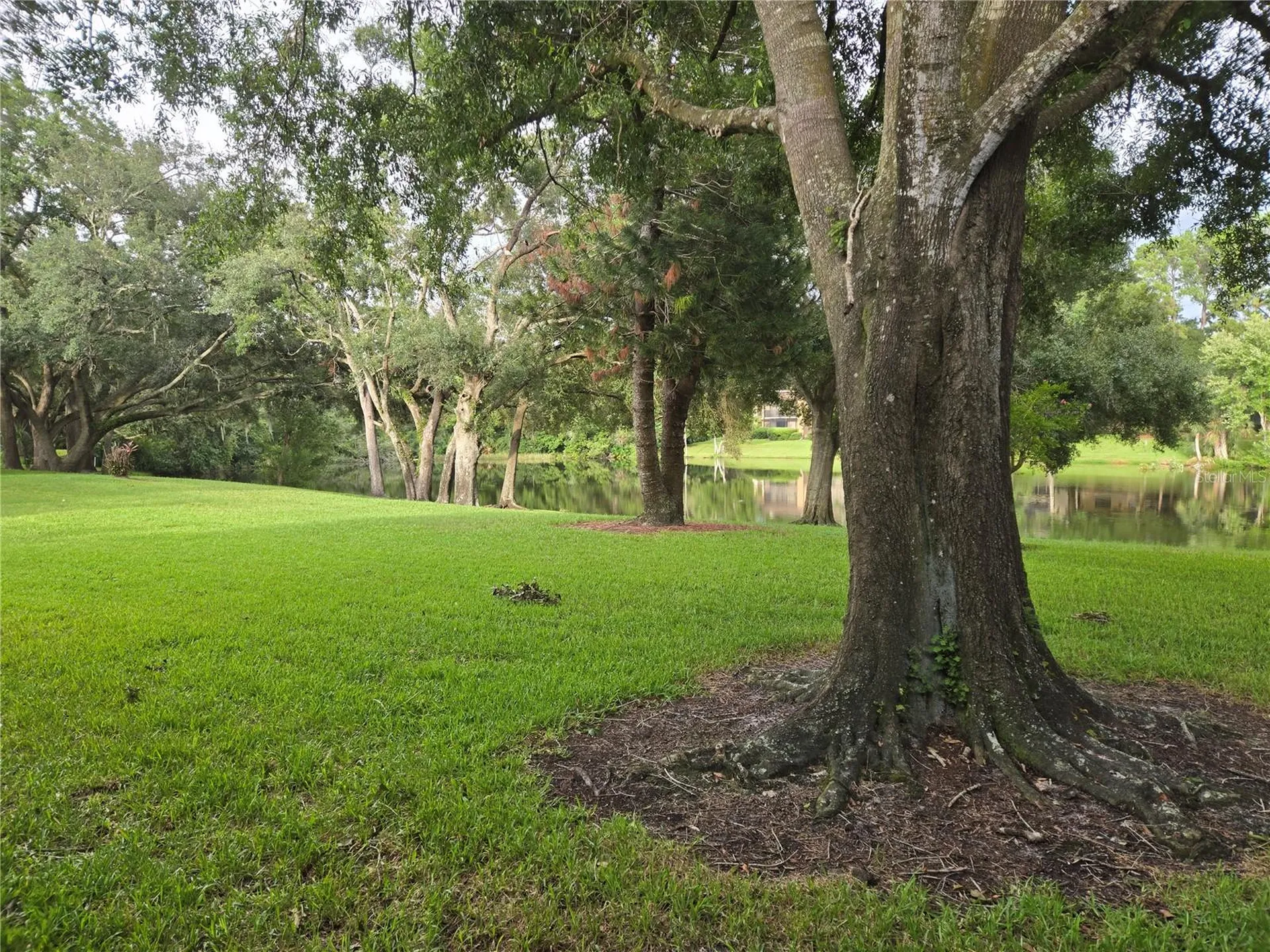 11805 Skylake Place Tampa FL 33617