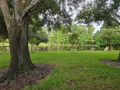 11805 Skylake Place Tampa FL 33617