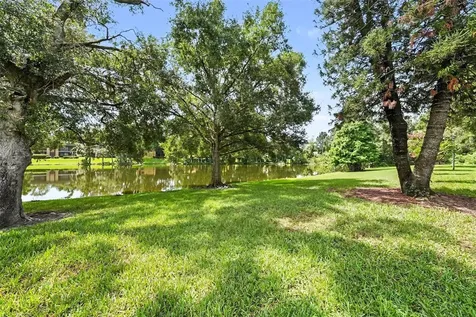 11805 Skylake Place Tampa FL 33617