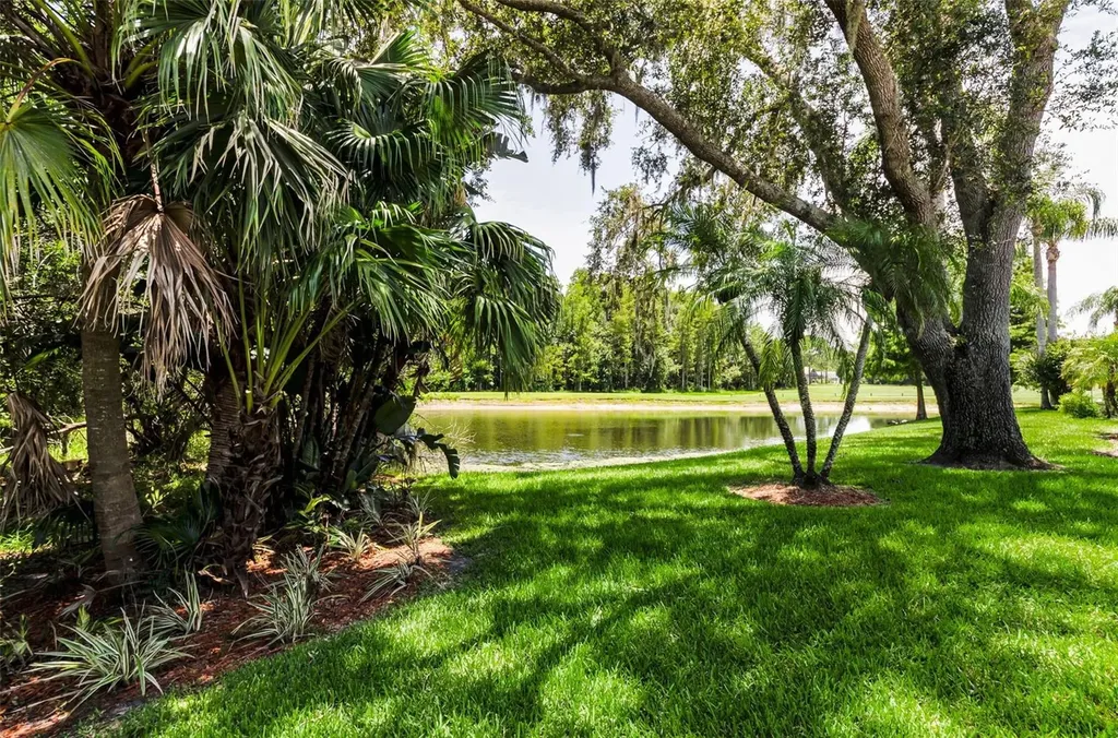 1111 Dartford Drive Tarpon Springs FL 34688