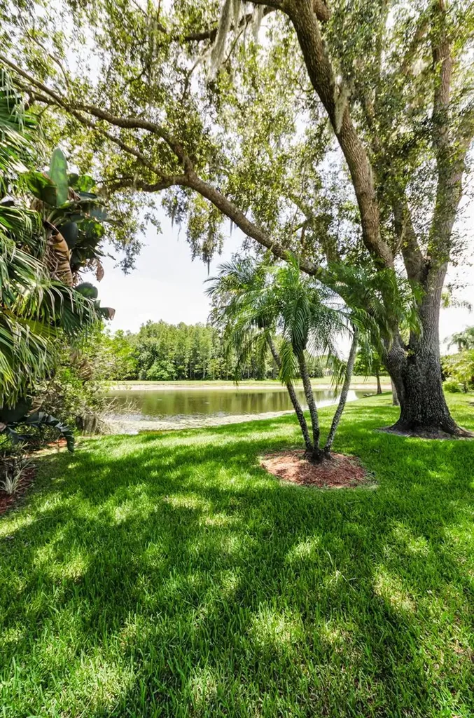 1111 Dartford Drive Tarpon Springs FL 34688