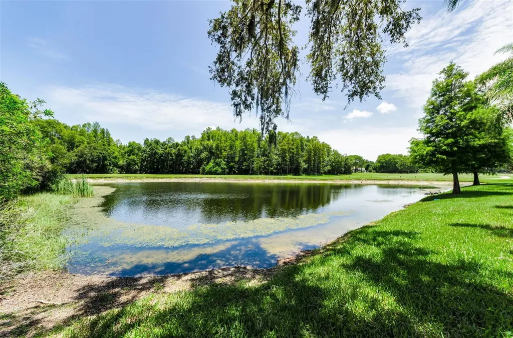 1111 Dartford Drive Tarpon Springs FL 34688