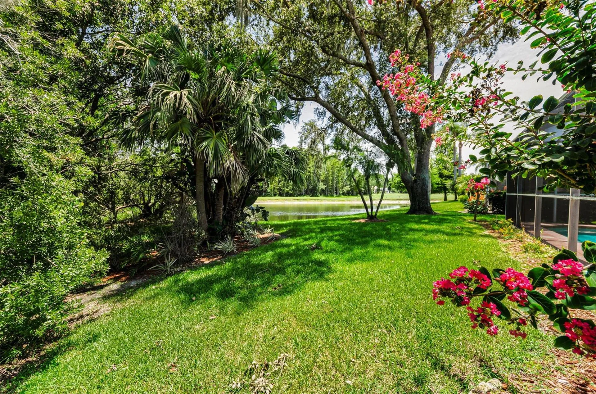 1111 Dartford Drive Tarpon Springs FL 34688