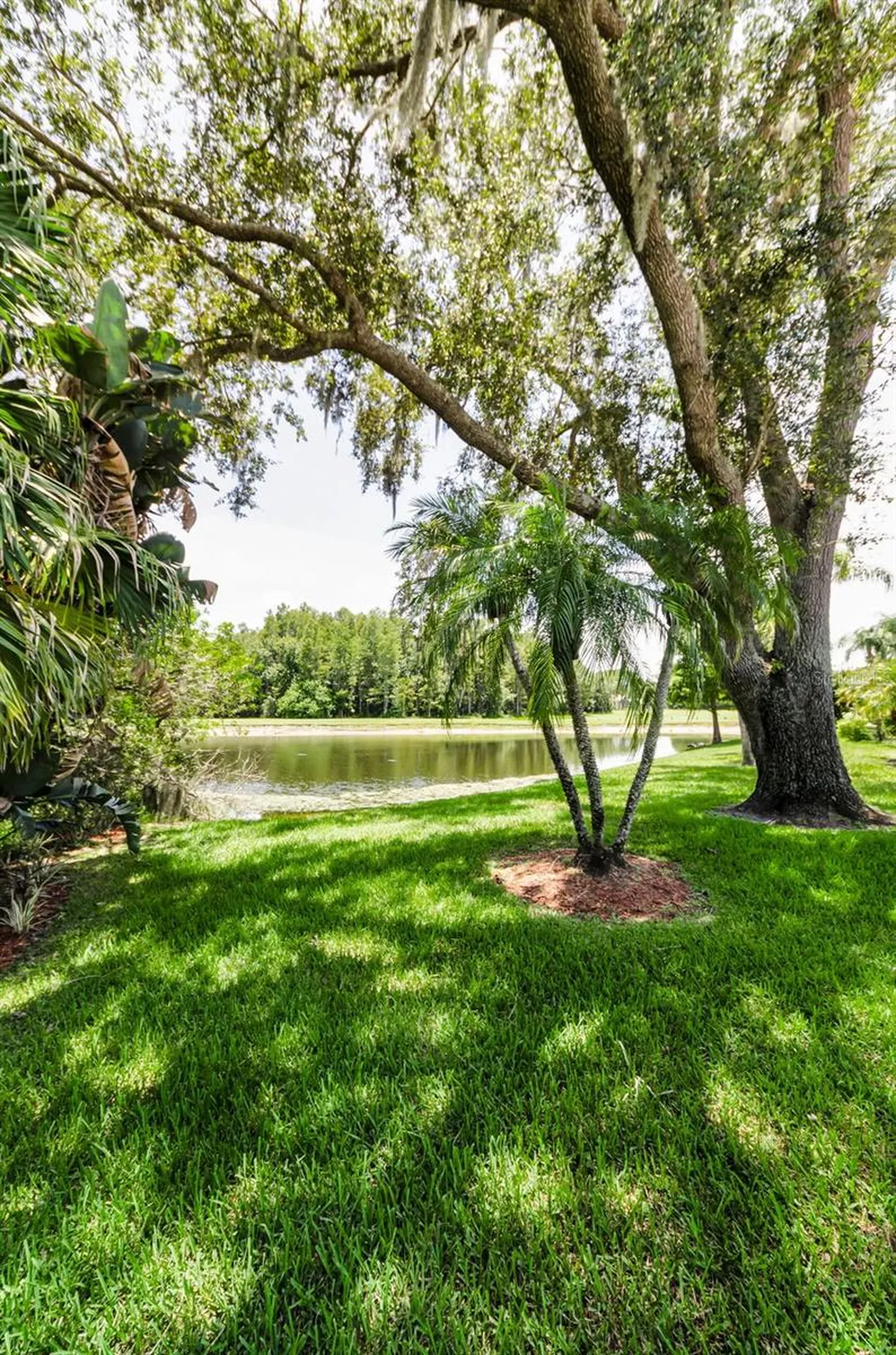 1111 Dartford Drive Tarpon Springs FL 34688