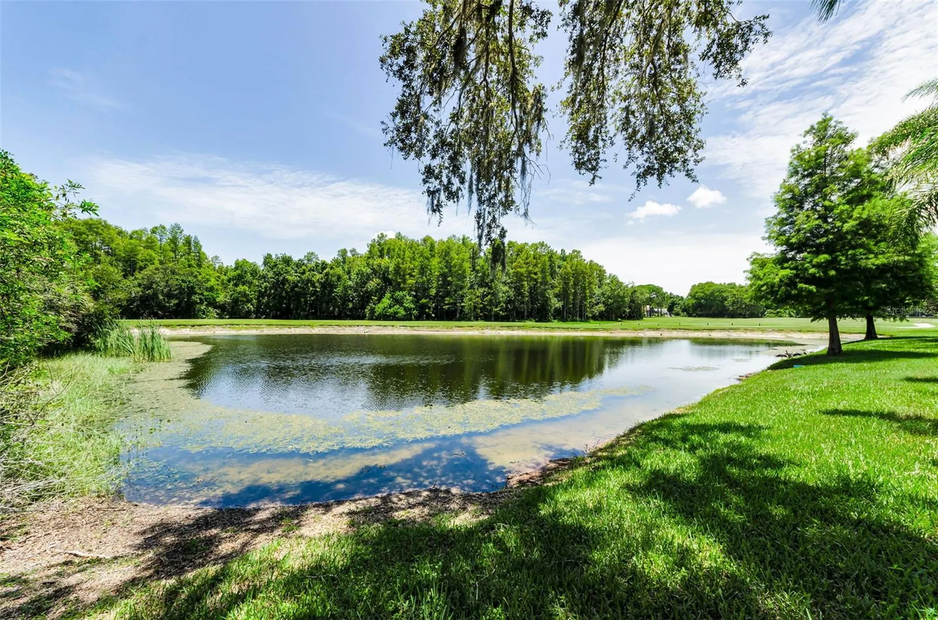 1111 Dartford Drive Tarpon Springs FL 34688