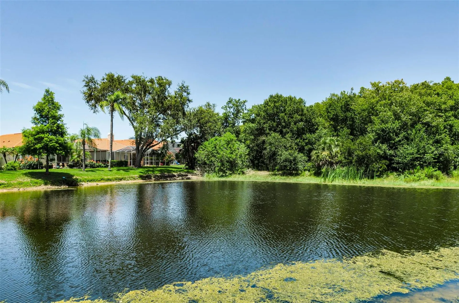 1111 Dartford Drive Tarpon Springs FL 34688