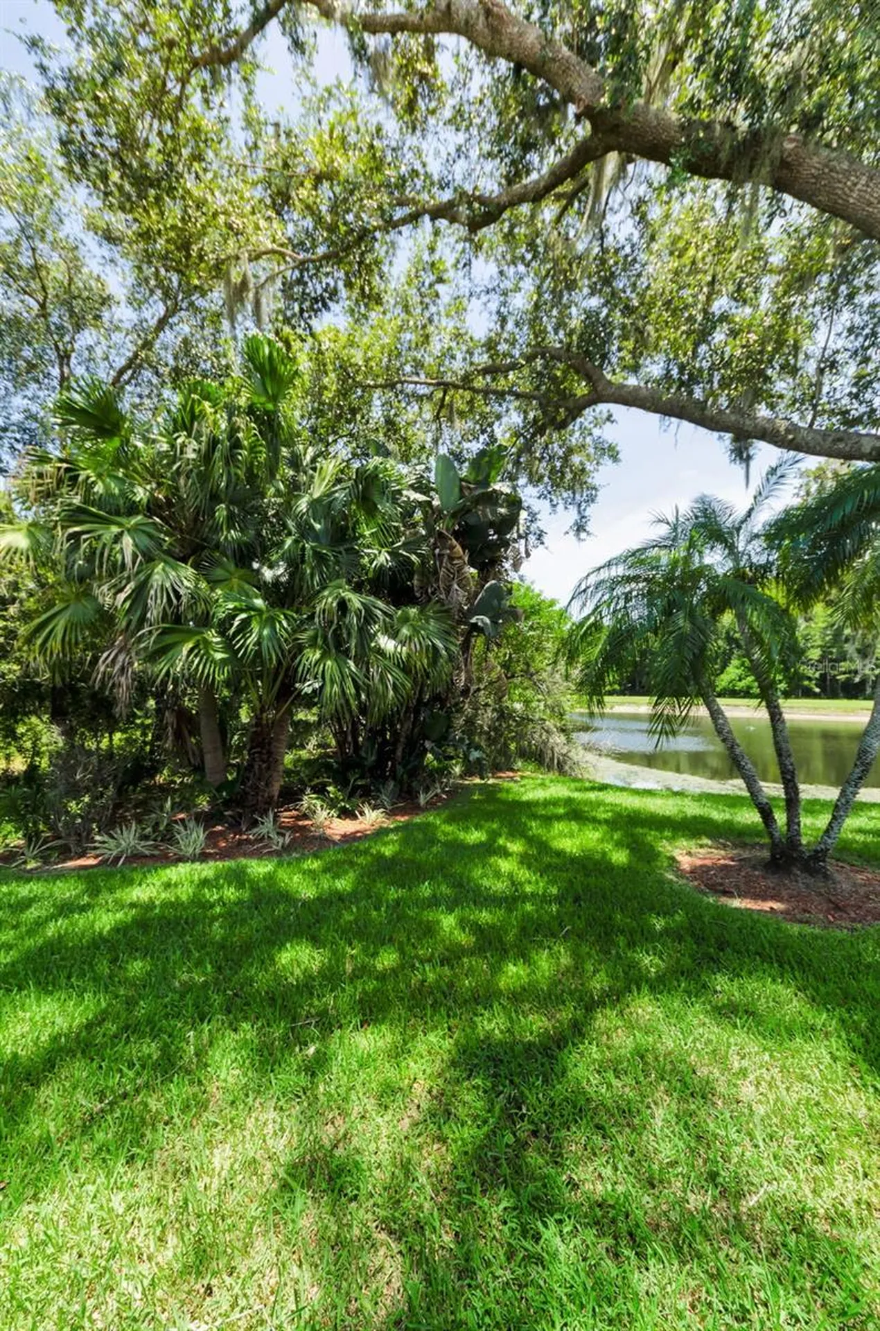 1111 Dartford Drive Tarpon Springs FL 34688