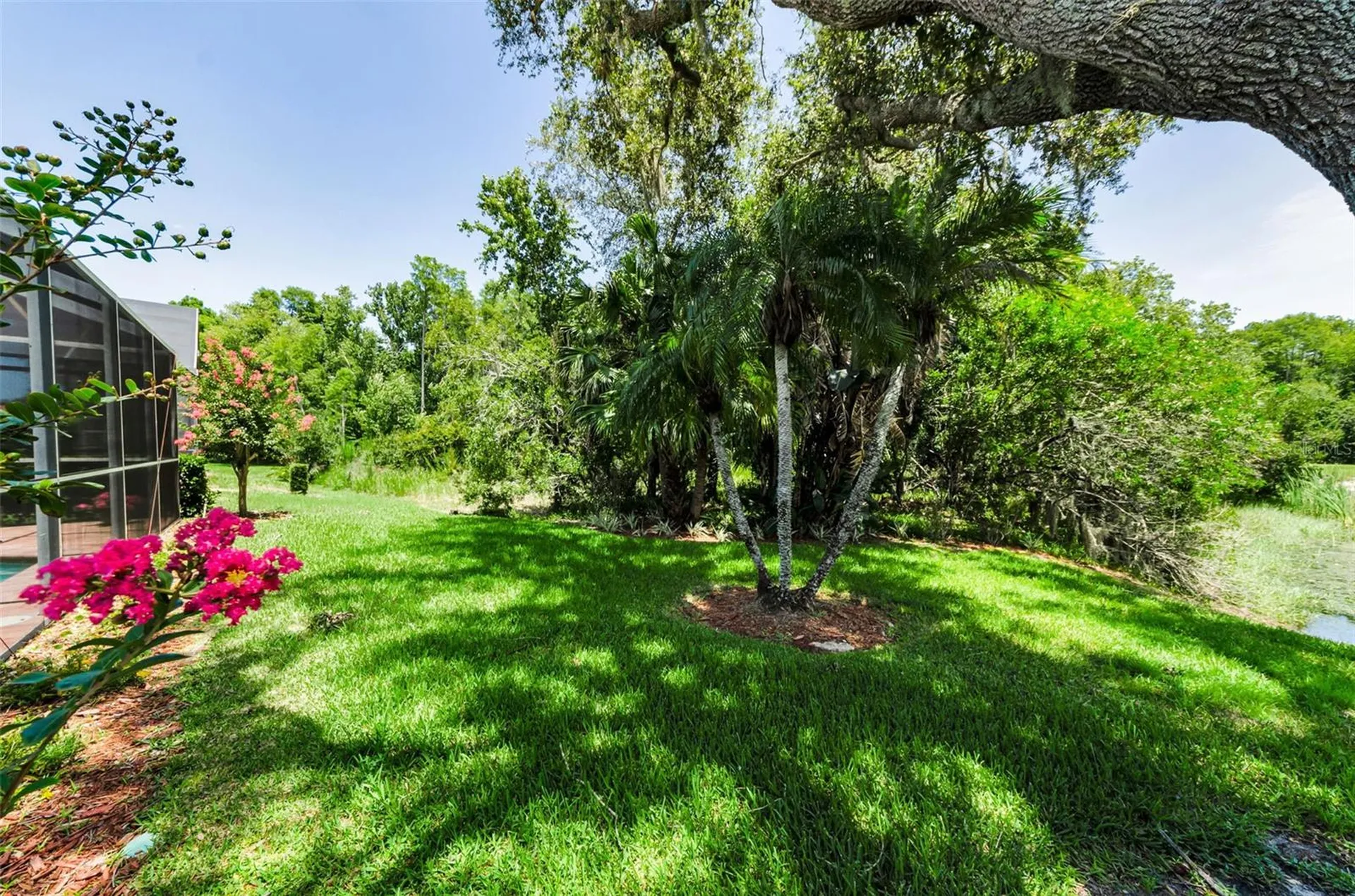 1111 Dartford Drive Tarpon Springs FL 34688