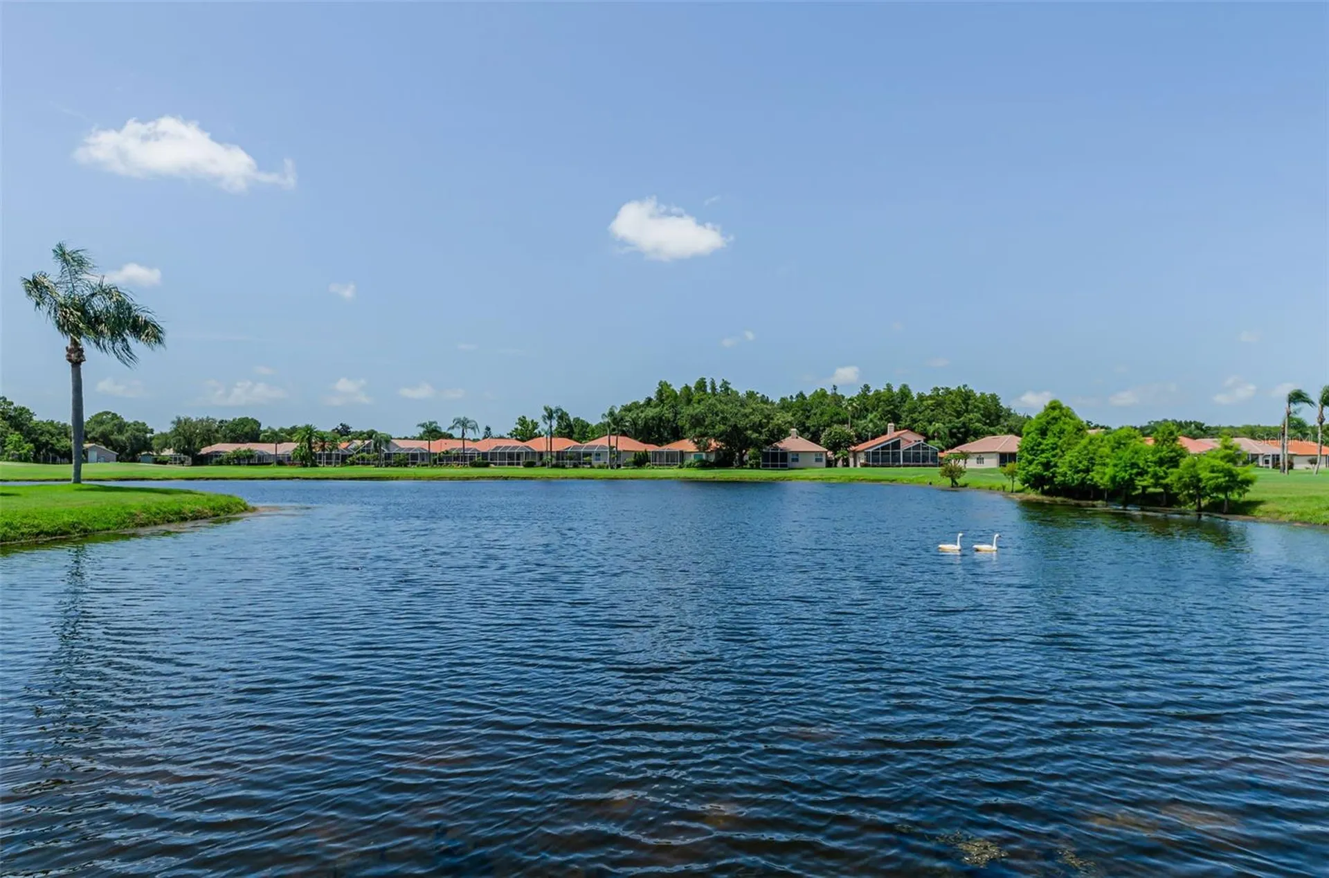 1111 Dartford Drive Tarpon Springs FL 34688