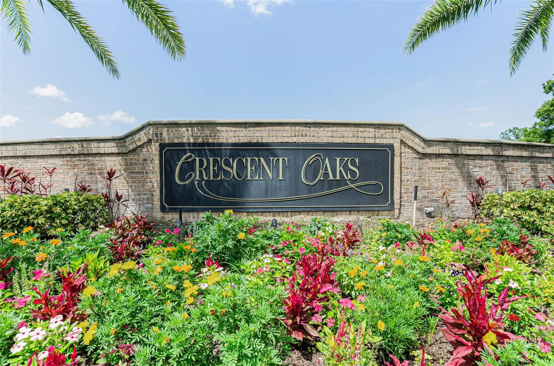 1111 Dartford Drive Tarpon Springs FL 34688