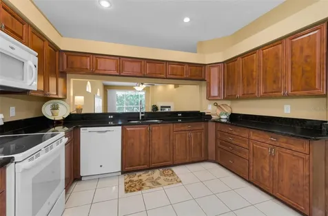 1111 Dartford Drive Tarpon Springs FL 34688