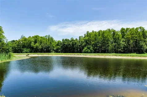 1111 Dartford Drive Tarpon Springs FL 34688