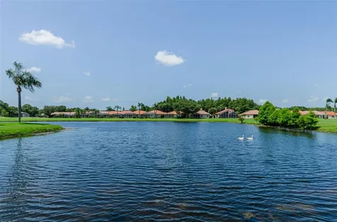 1111 Dartford Drive Tarpon Springs FL 34688