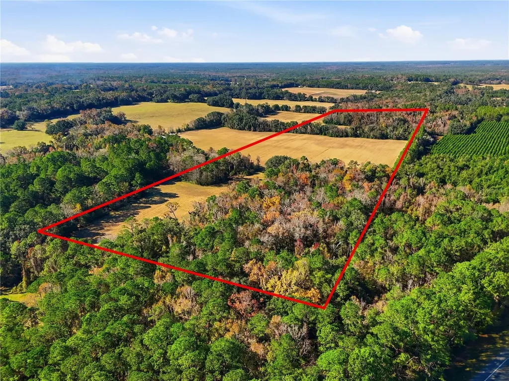 Old Bellamy Road High Springs FL 32643