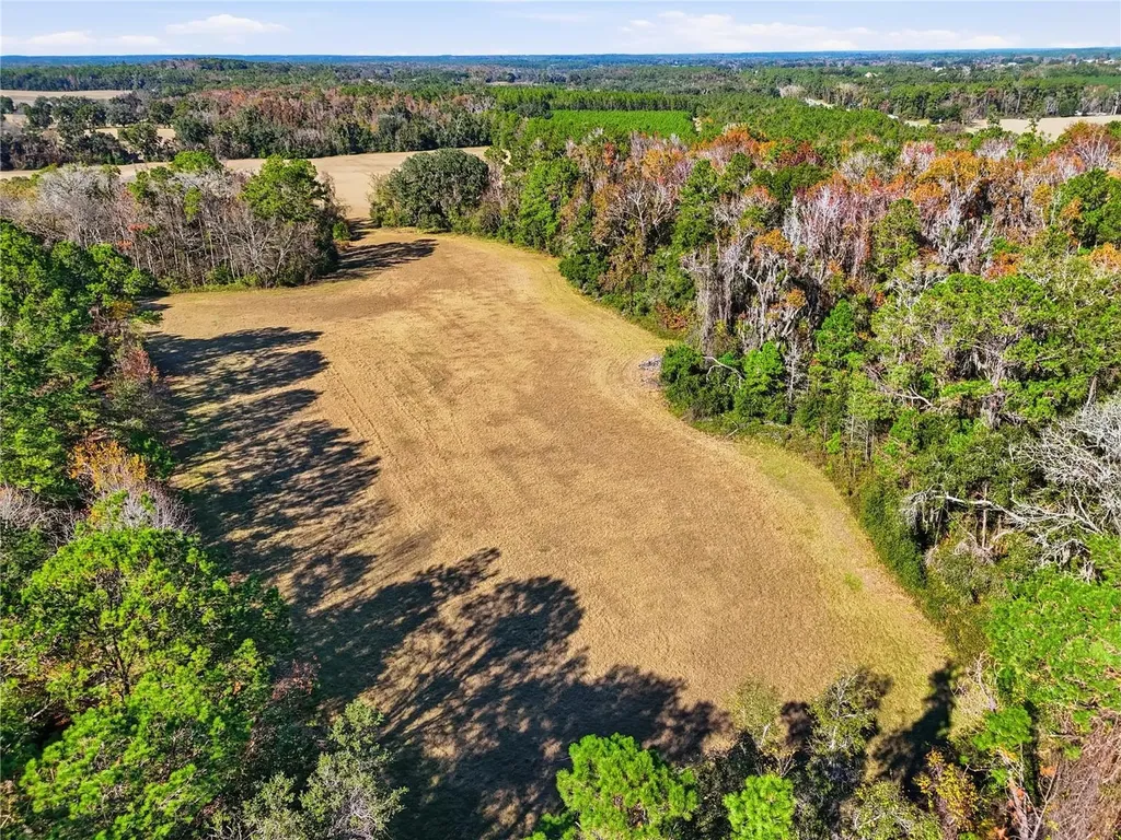 Old Bellamy Road High Springs FL 32643
