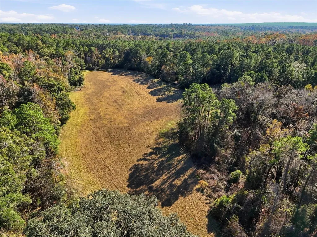 Old Bellamy Road High Springs FL 32643