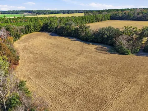 Old Bellamy Road High Springs FL 32643