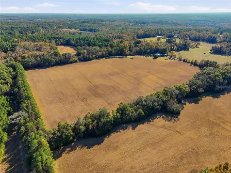 Old Bellamy Road High Springs FL 32643