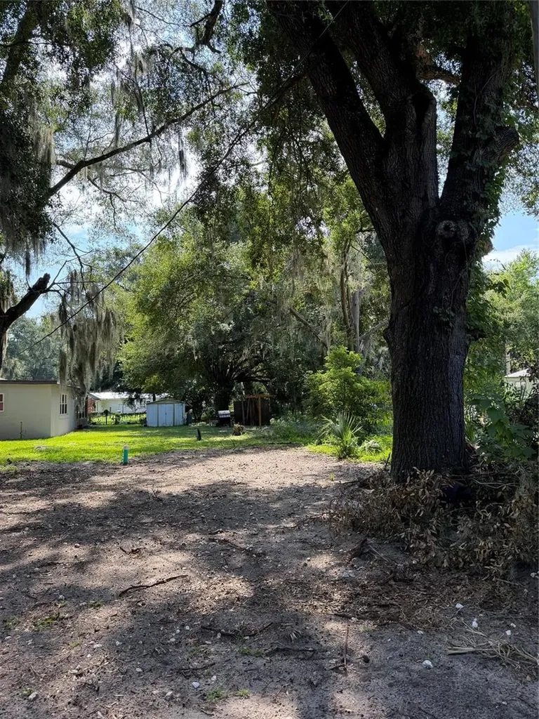 Cr 491w Lake Panasoffkee FL 33538
