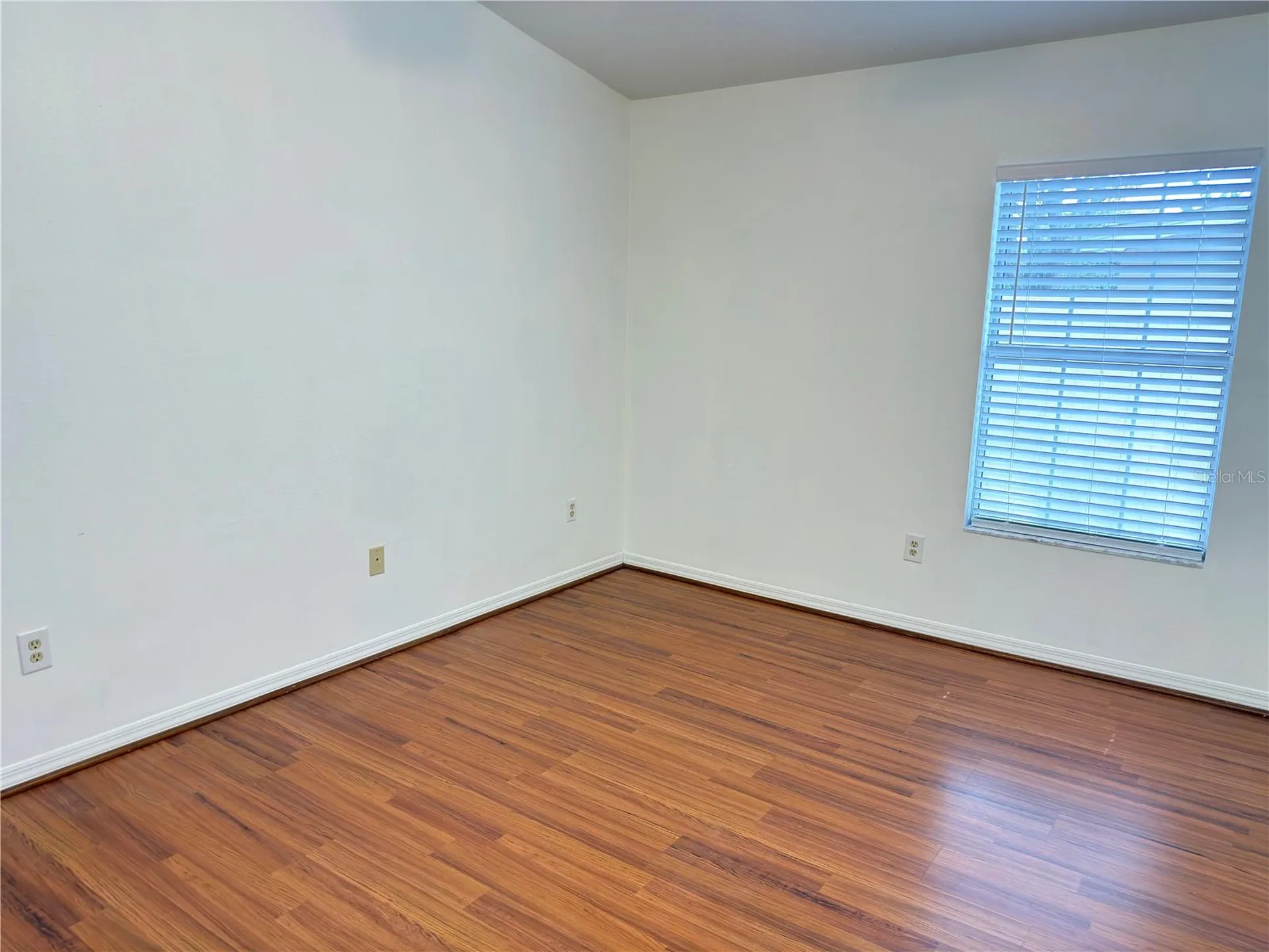 414 Ulelah Avenue Palm Harbor FL 34683