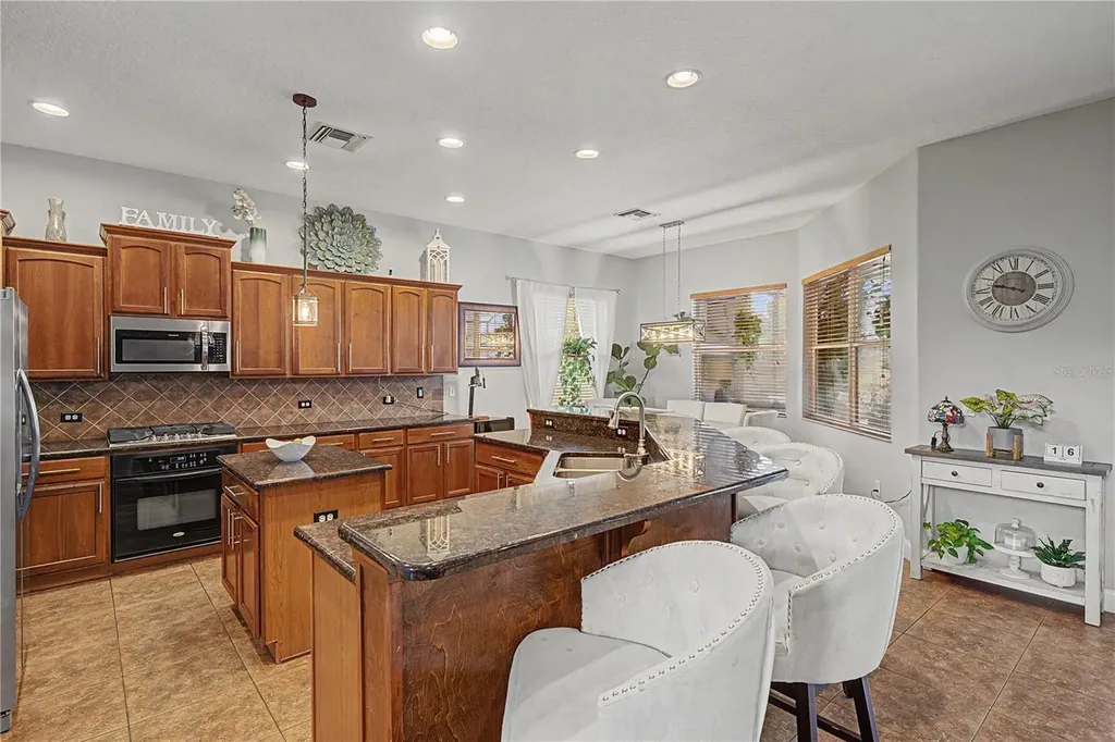 3038 Marble Crest Drive Land O Lakes FL 34638