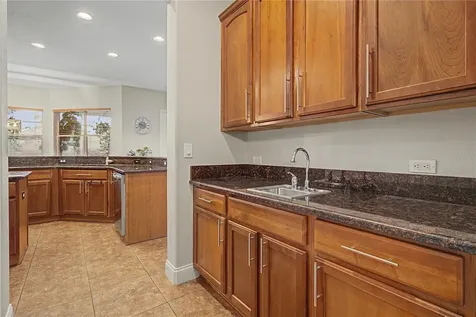 3038 Marble Crest Drive Land O Lakes FL 34638