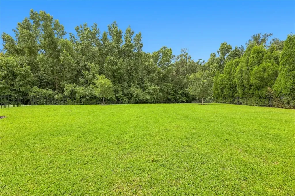3225 Cordoba Ranch Boulevard Lutz FL 33559