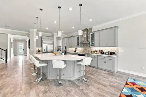 3225 Cordoba Ranch Boulevard Lutz FL 33559