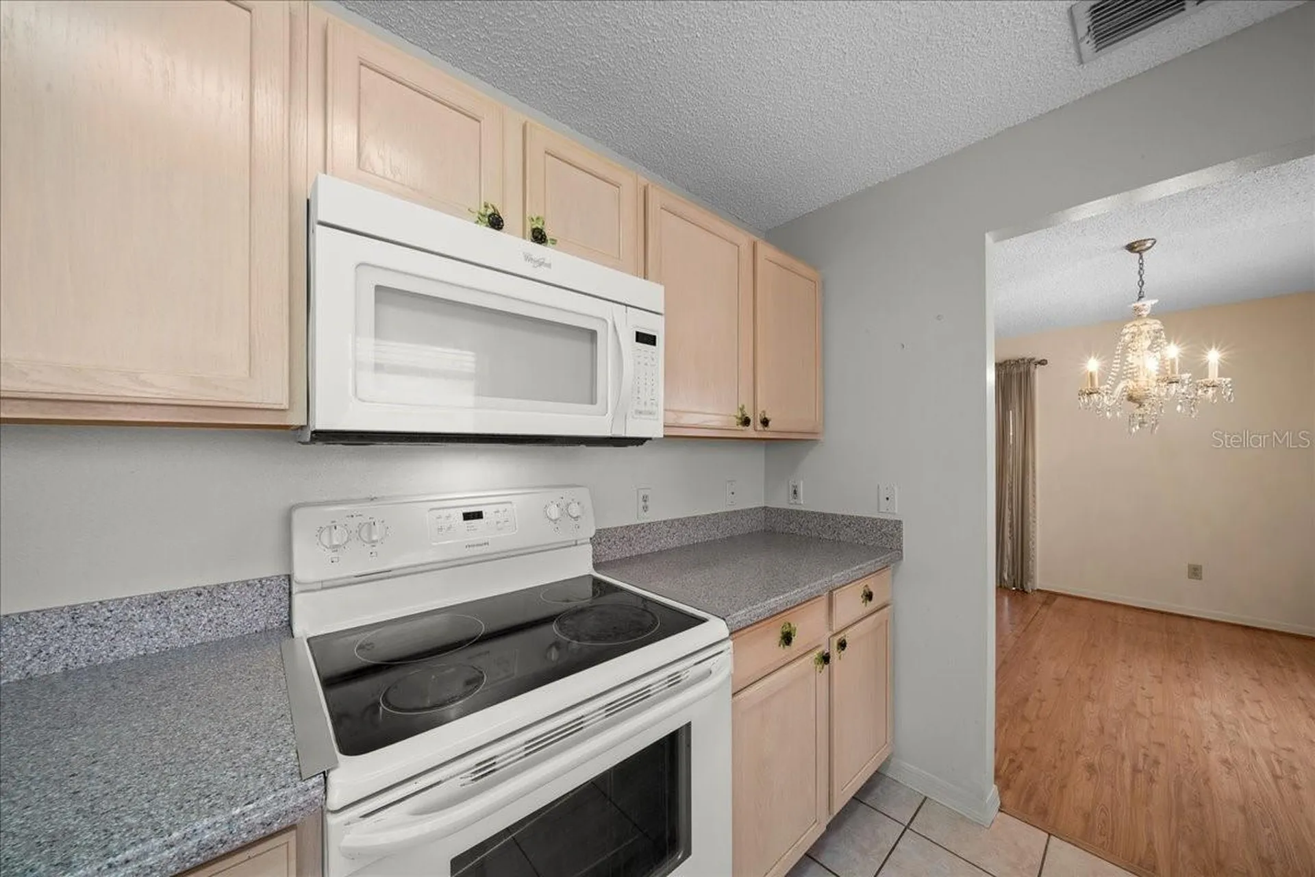 9040 SW 91st Terrace Ocala FL 34481