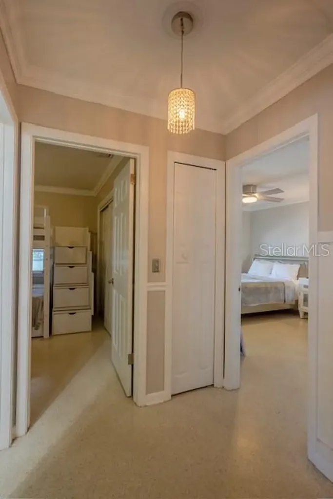 3911 Americana Drive Tampa FL 33634
