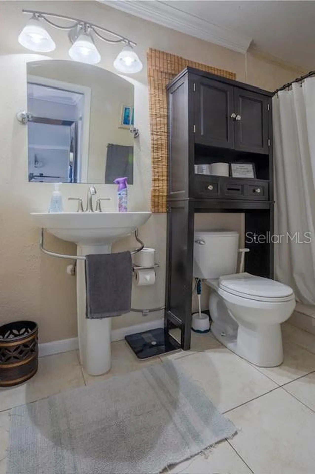 3911 Americana Drive Tampa FL 33634