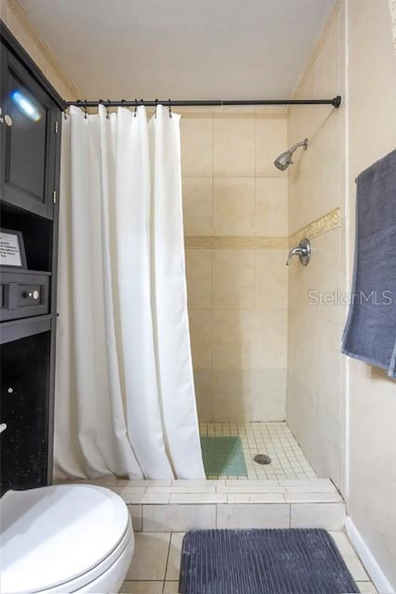 3911 Americana Drive Tampa FL 33634