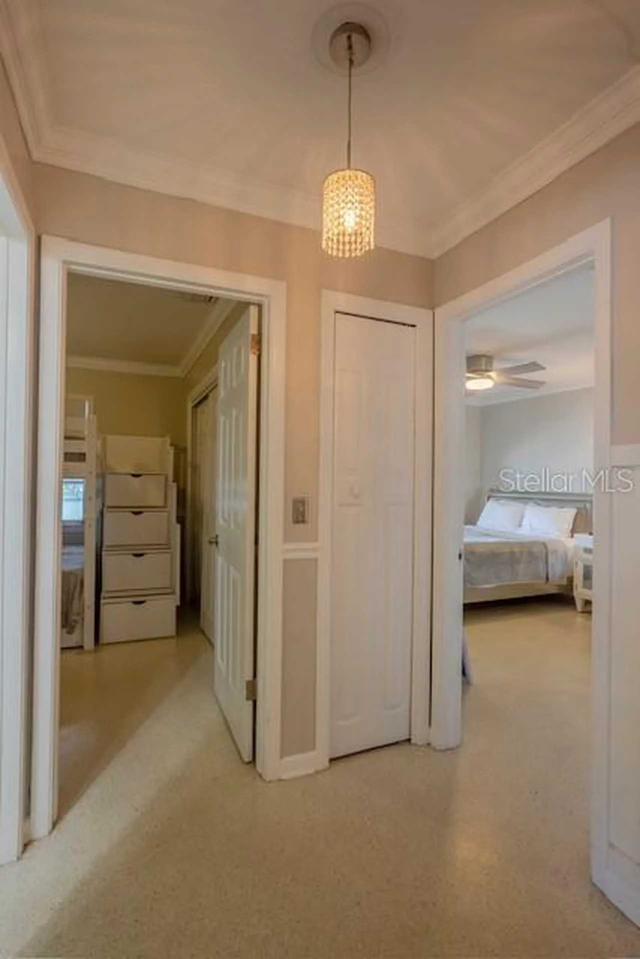 3911 Americana Drive Tampa FL 33634