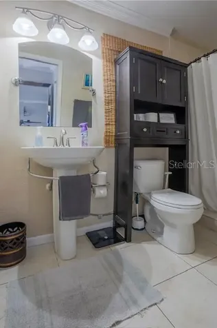 3911 Americana Drive Tampa FL 33634