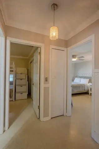 3911 Americana Drive Tampa FL 33634