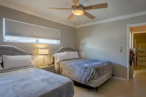 3911 Americana Drive Tampa FL 33634