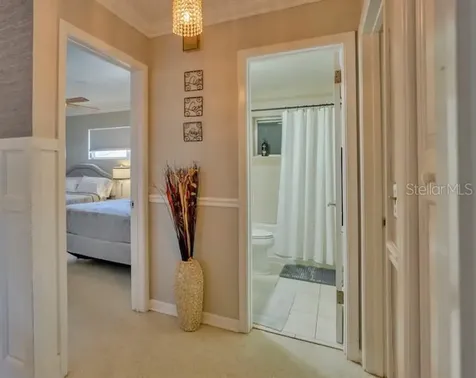 3911 Americana Drive Tampa FL 33634