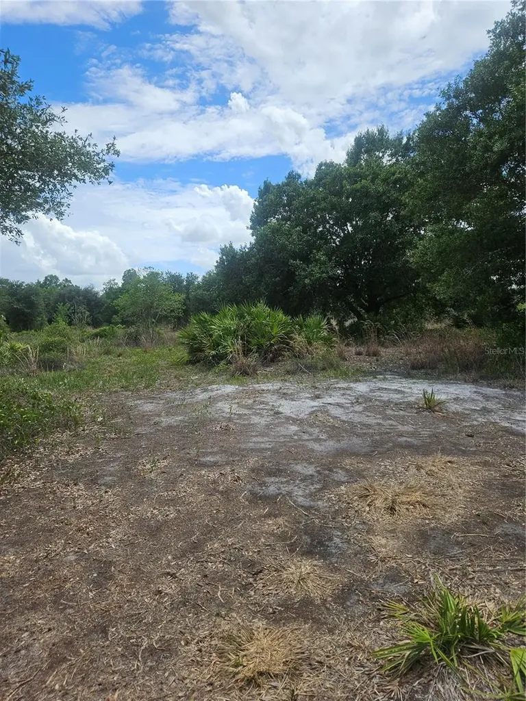 1865 NE Cross Avenue Arcadia FL 34266