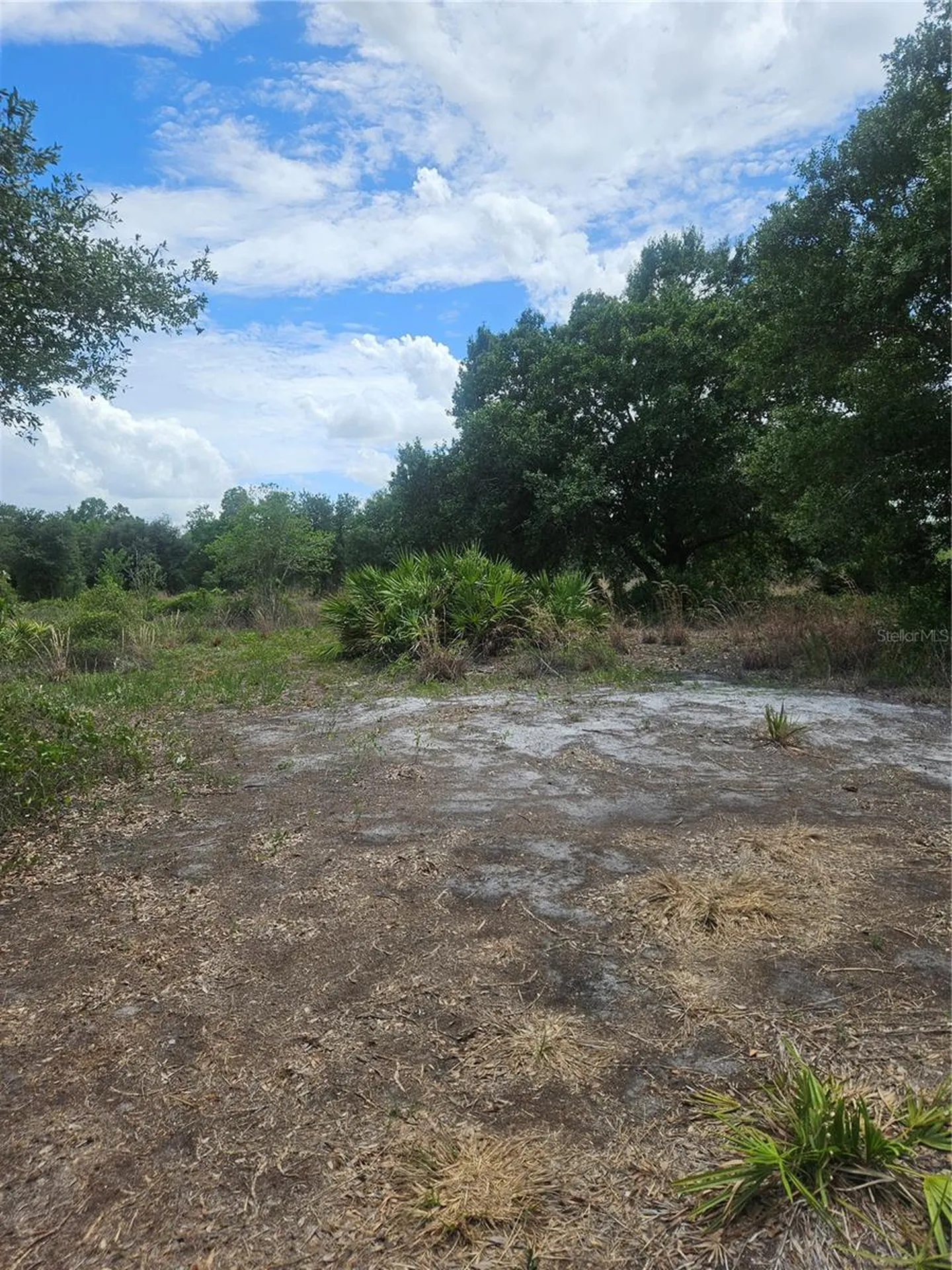 1865 NE Cross Avenue Arcadia FL 34266