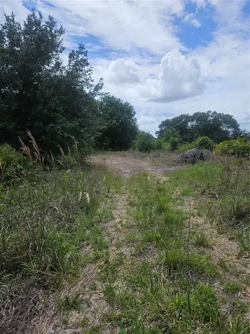 1865 NE Cross Avenue Arcadia FL 34266
