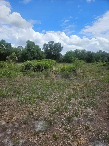1865 NE Cross Avenue Arcadia FL 34266