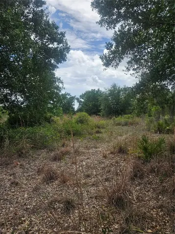 1865 NE Cross Avenue Arcadia FL 34266