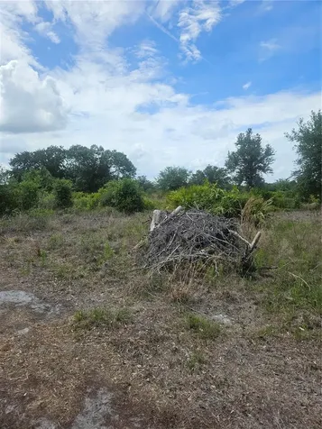 1865 NE Cross Avenue Arcadia FL 34266
