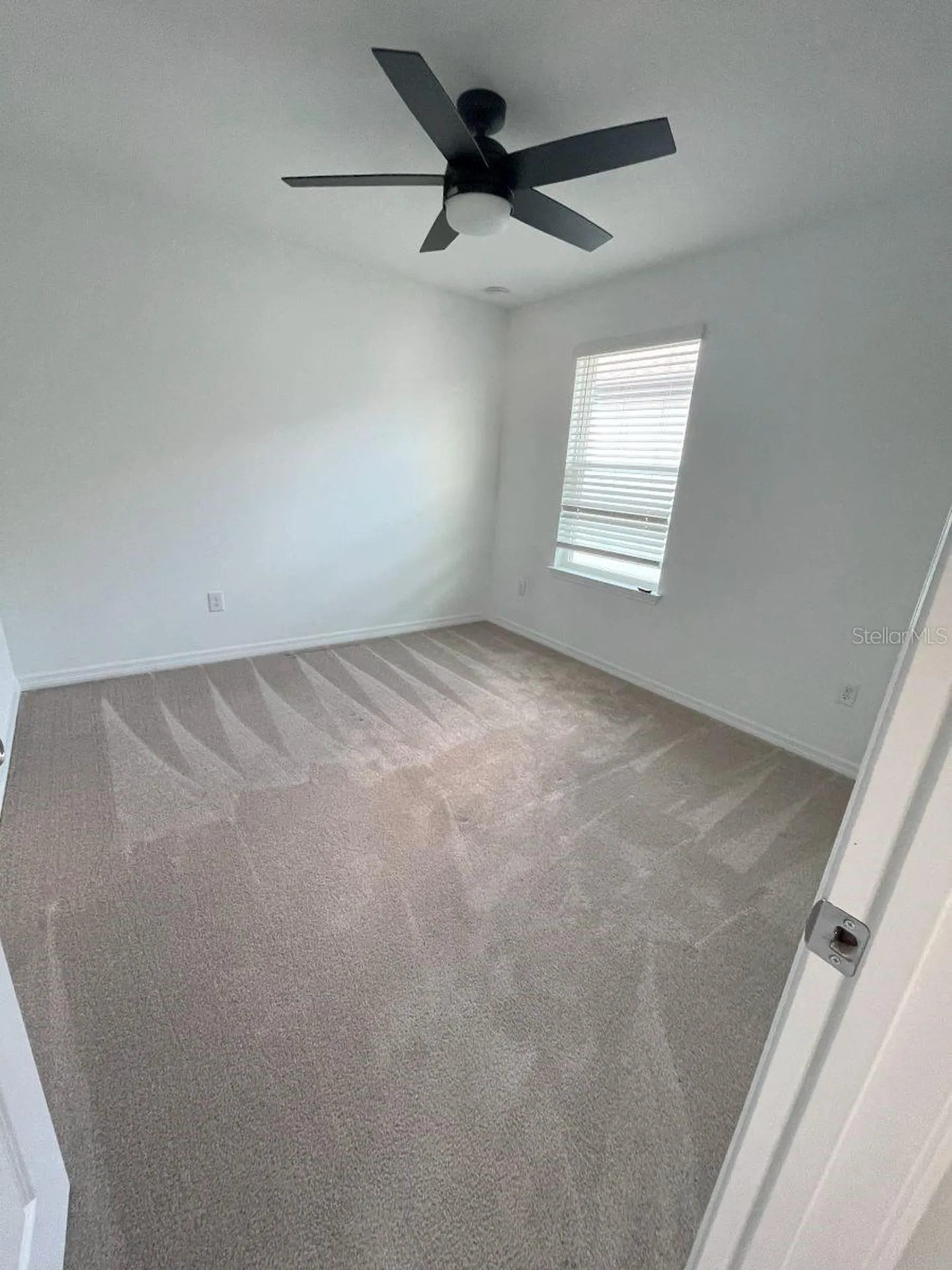 3943 Almond Brook Boulevard Land O Lakes FL 34638