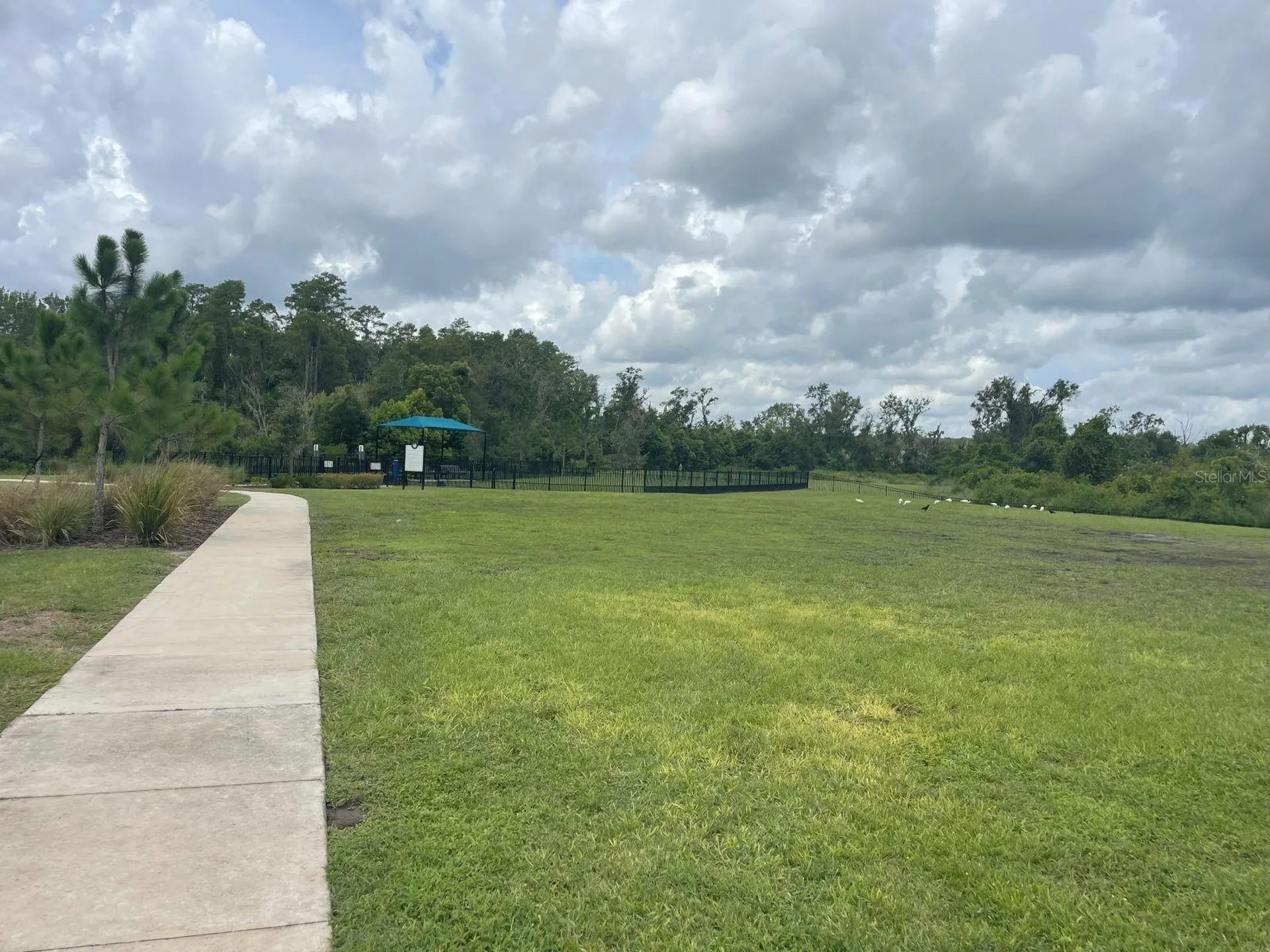3943 Almond Brook Boulevard Land O Lakes FL 34638