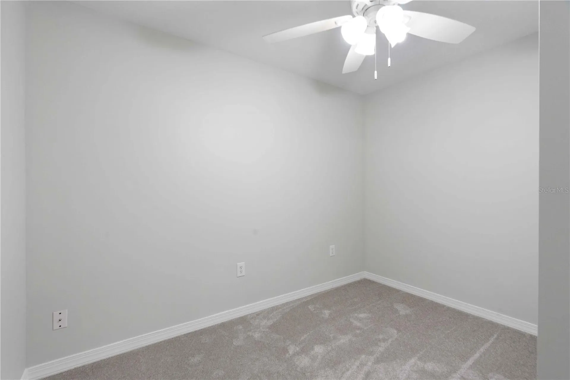 6003 N Fremont Avenue Tampa FL 33604