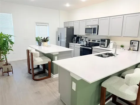 10738 Rhett Butler Alley Winter Garden FL 34787
