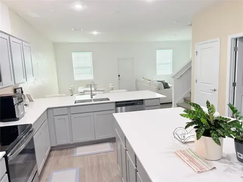10738 Rhett Butler Alley Winter Garden FL 34787