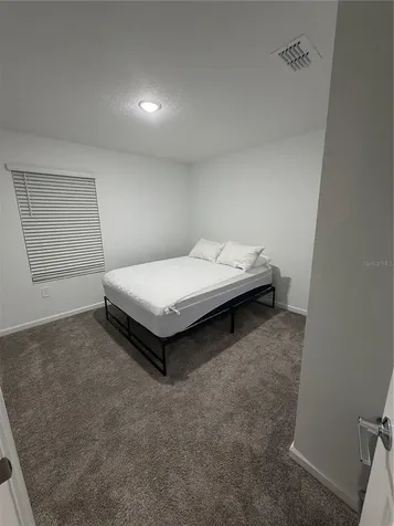 10738 Rhett Butler Alley Winter Garden FL 34787
